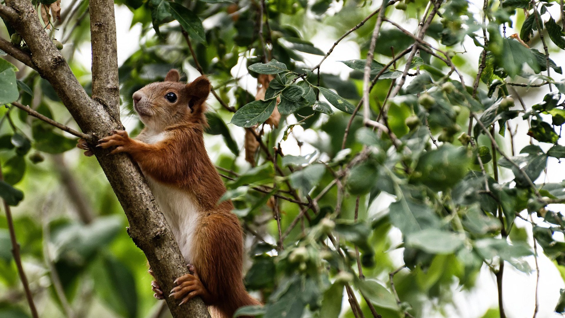 【顶级运动员训练揭秘】丁俊晖每日训练内容全公开,丁俊晖是怎么训练的